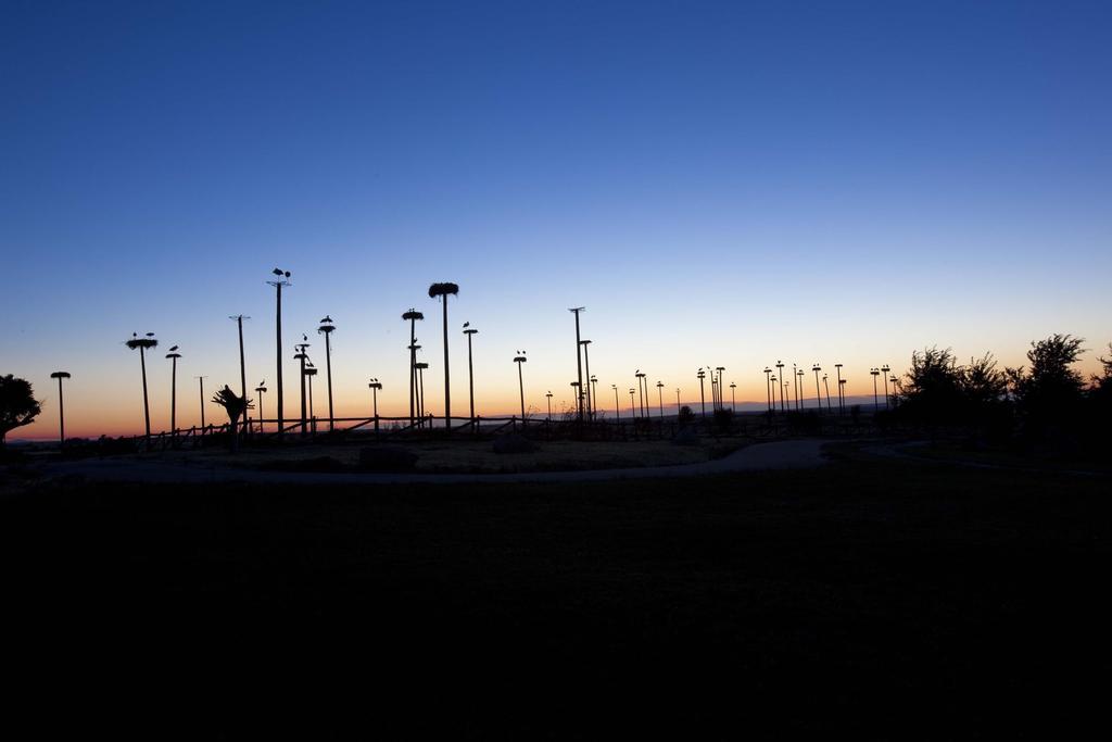 Hospes Palacio De Arenales & Spa Caces Екстериор снимка The parking lot at dusk